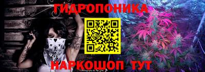 гашик Краснознаменск